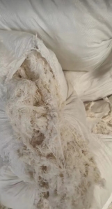 出售70棉气纺布边回丝，够6.8米一车！