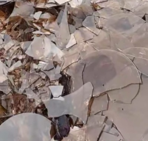 长期出售茶色碎玻璃，月供300吨