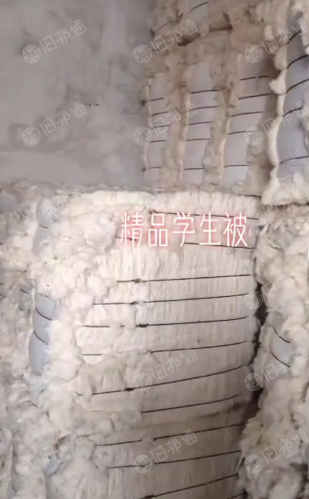 出售各种开松棉,开松一级棉,二级棉,古棉,被子棉等