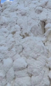 出售皮棉高配32支下来的车肚，需要的联系！