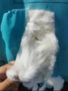 长期出售新疆棉车肚，进口棉车肚，量大从优！