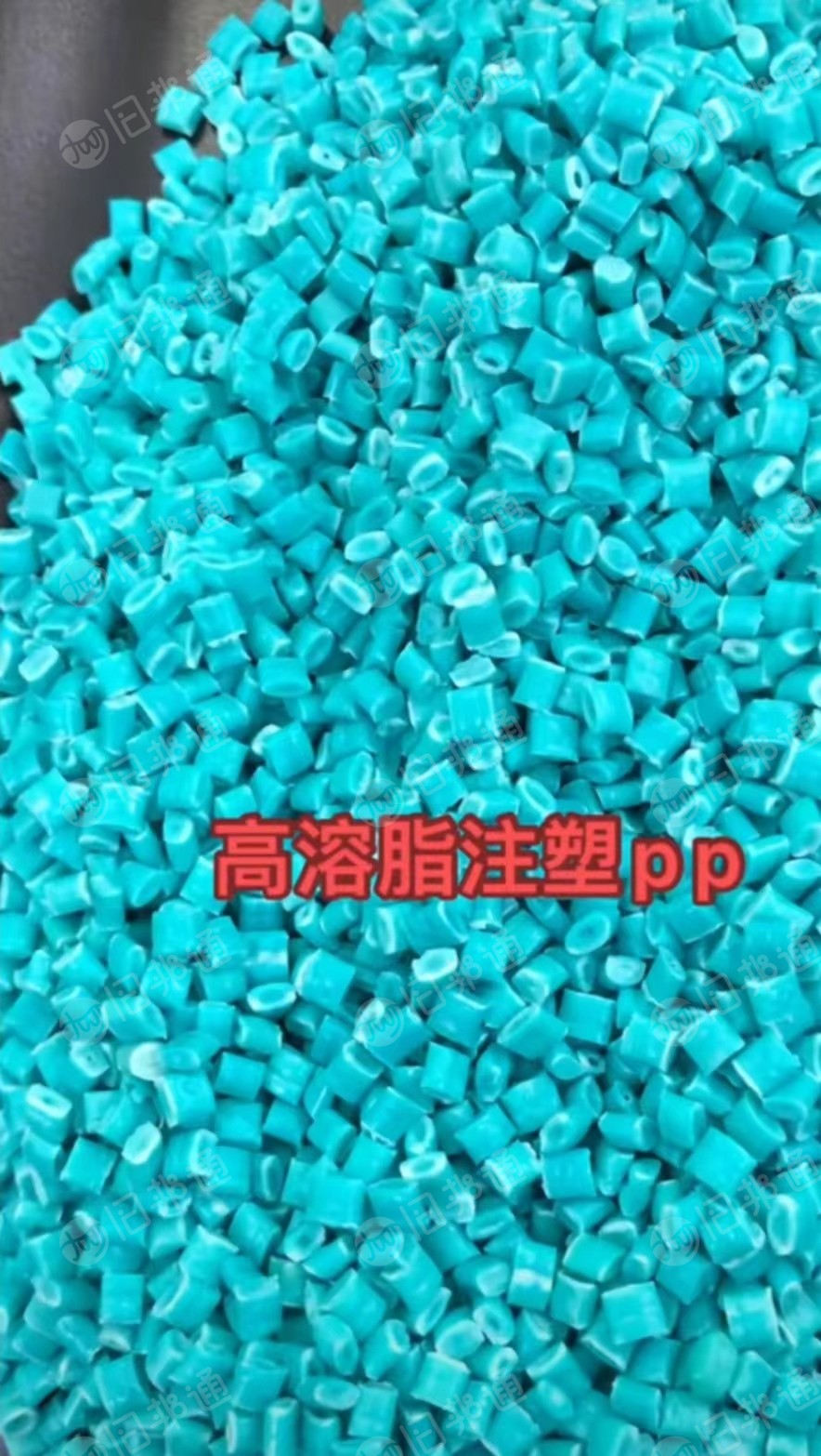 专业生产各种PP颗粒，乳明PP颗粒，高溶脂注塑PP颗粒，中白透PP颗粒，250目PP颗粒