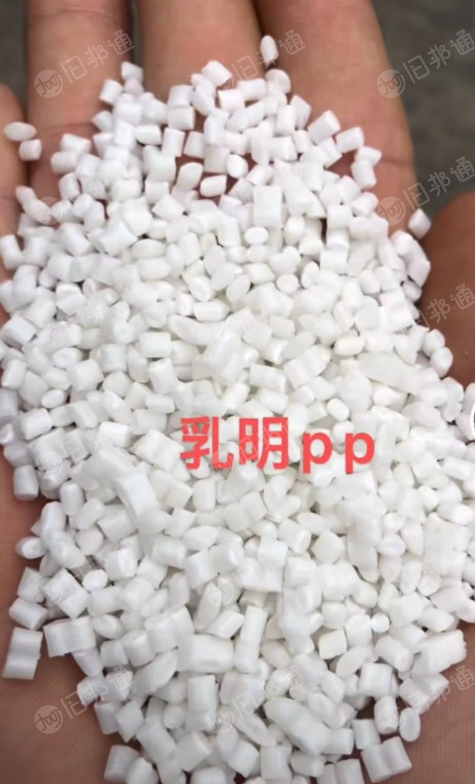 专业生产各种PP颗粒,乳明PP颗粒,高溶脂注塑PP颗粒,中白透PP颗粒,250目PP颗粒