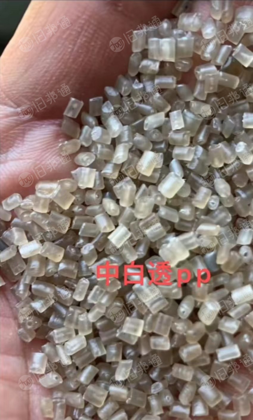 专业生产各种PP颗粒,乳明PP颗粒,高溶脂注塑PP颗粒,中白透PP颗粒,250目PP颗粒