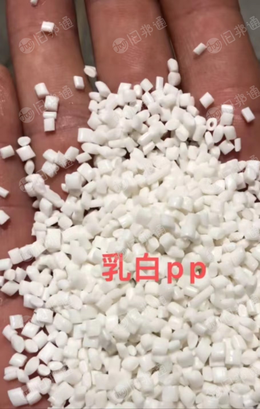 专业生产各种PP颗粒,乳明PP颗粒,高溶脂注塑PP颗粒,中白透PP颗粒,250目PP颗粒