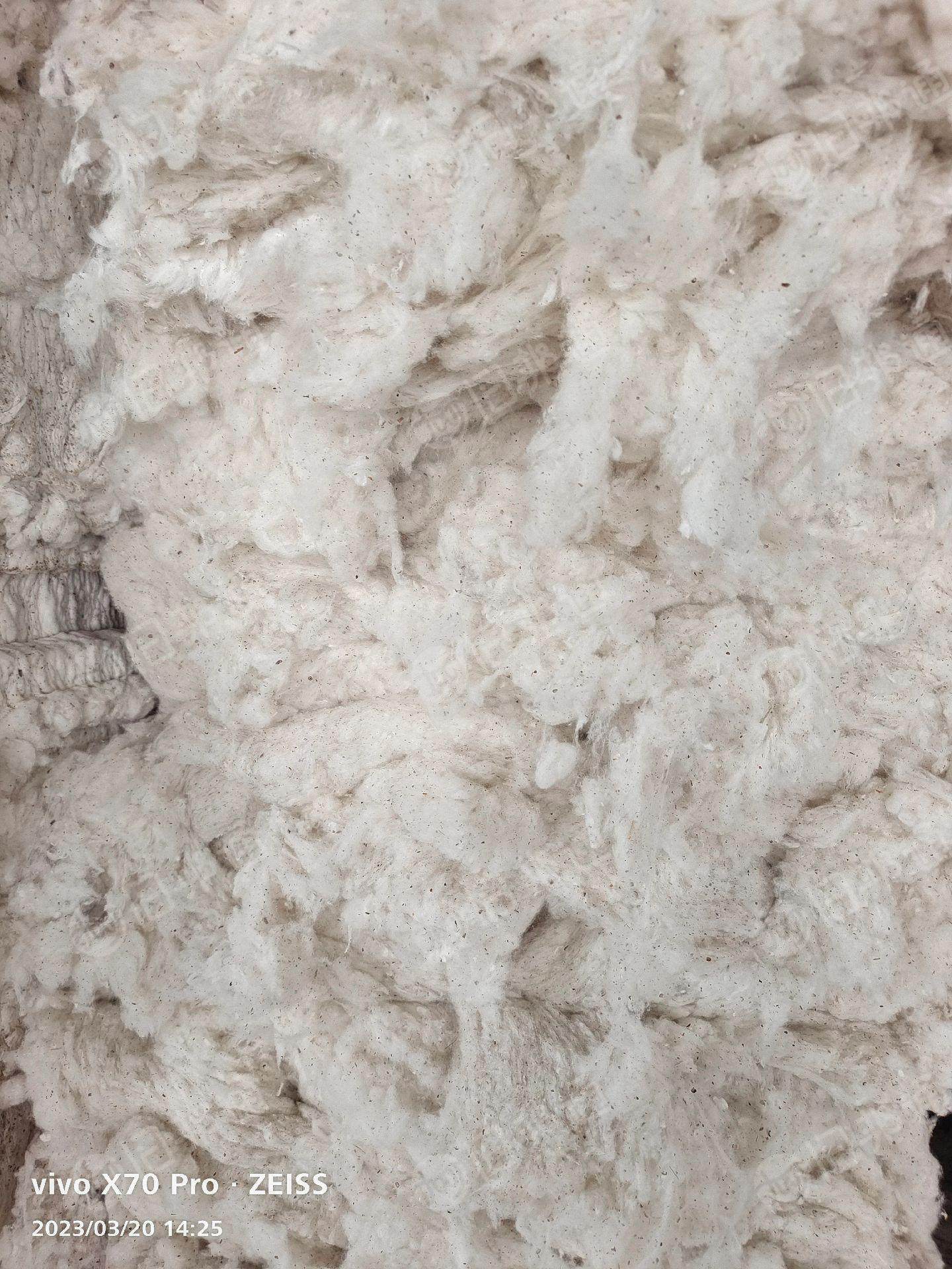 长期供应优质车肚,价格美丽
