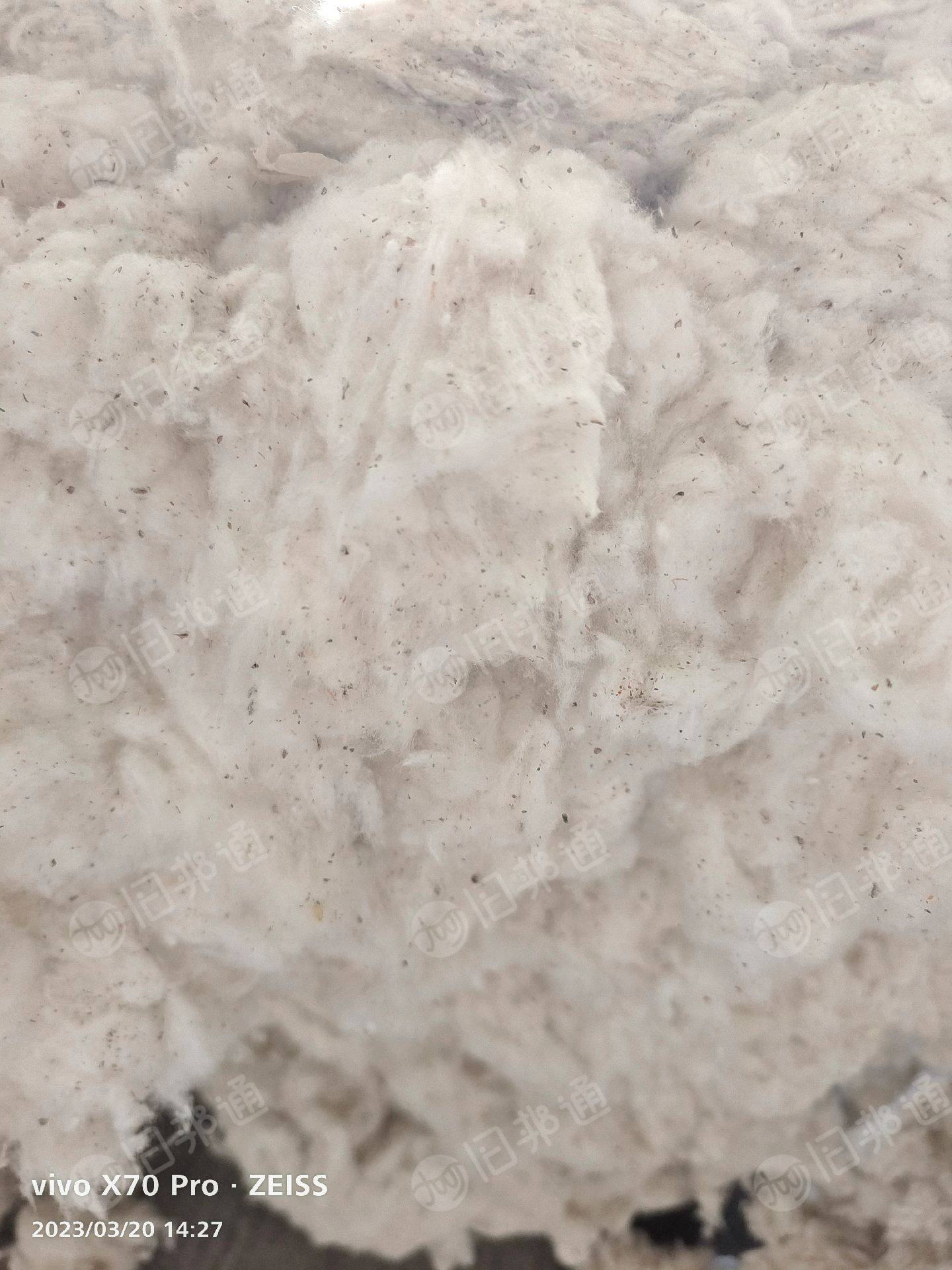 长期供应优质车肚,价格美丽