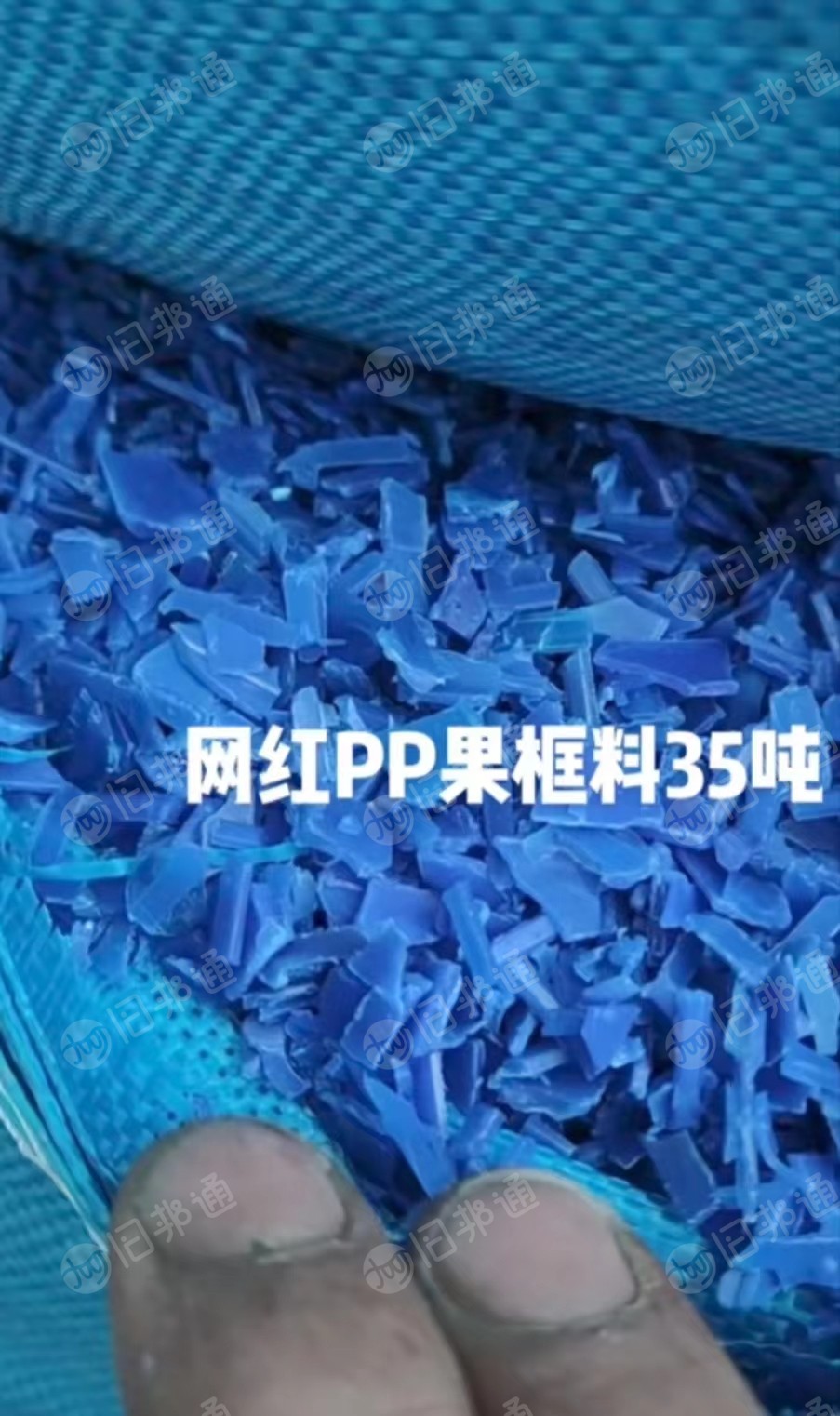出售各色PP水果筐破碎料,蓝色水果筐破碎料,透明水果筐破碎料,荔枝筐破碎料,红色,黄色都有