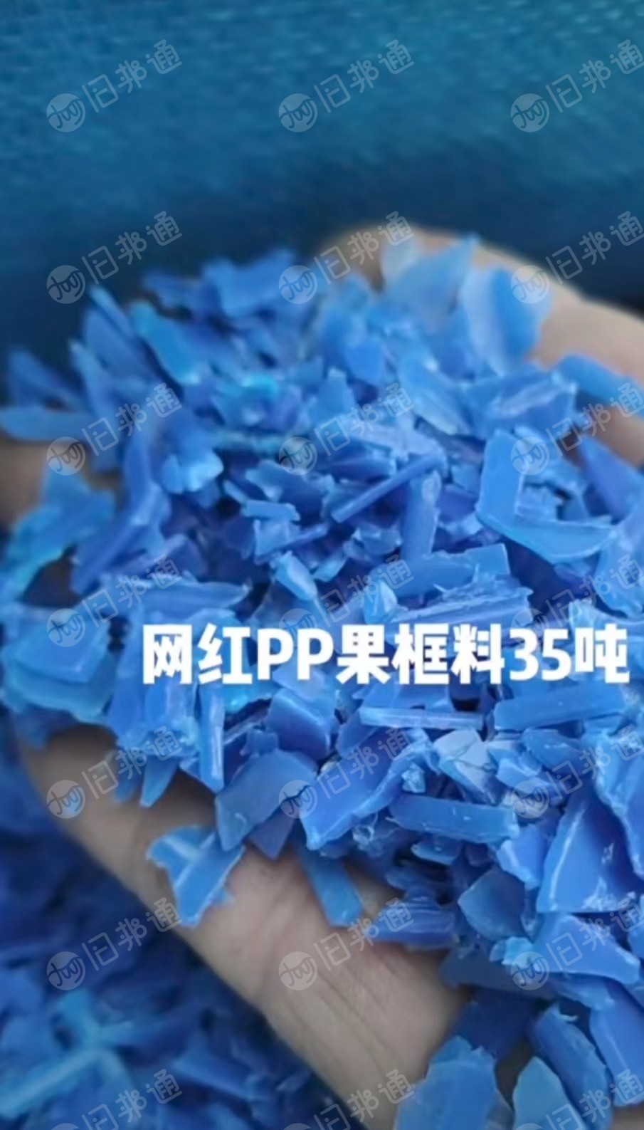 出售各色PP水果筐破碎料,蓝色水果筐破碎料,透明水果筐破碎料,荔枝筐破碎料,红色,黄色都有