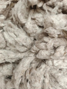 出售气流纺24支下来的鱼籽棉,干净卫才专用，现货两车！