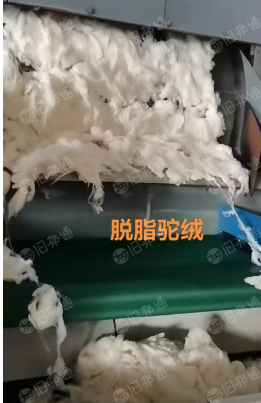 出售毛纺原料,脱脂驼绒,羔子绒,欢迎来电谈