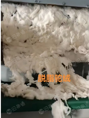 出售毛纺原料,脱脂驼绒,羔子绒,欢迎来电谈