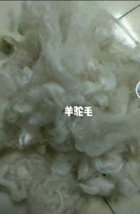 出售进口羊毛原料 炭化毛毛条驼马海南美细毛,南非毛绒