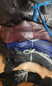 出售湿牛皮，毛皮块，灰皮二层，灰皮块及特殊皮革 鳄鱼皮，鸵鸟皮，眼镜蛇皮，水蛇皮，莽蛇皮，草鱼皮，蟹鱼皮，三文鱼皮，罗非鱼皮，鲜鱼皮，鹿皮，袋鼠皮等