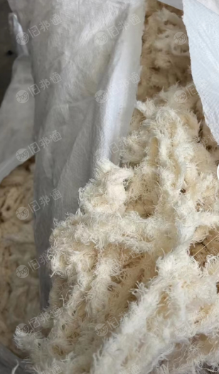 出售氨纶布边纱,平布边,氨纶布边,大量现货