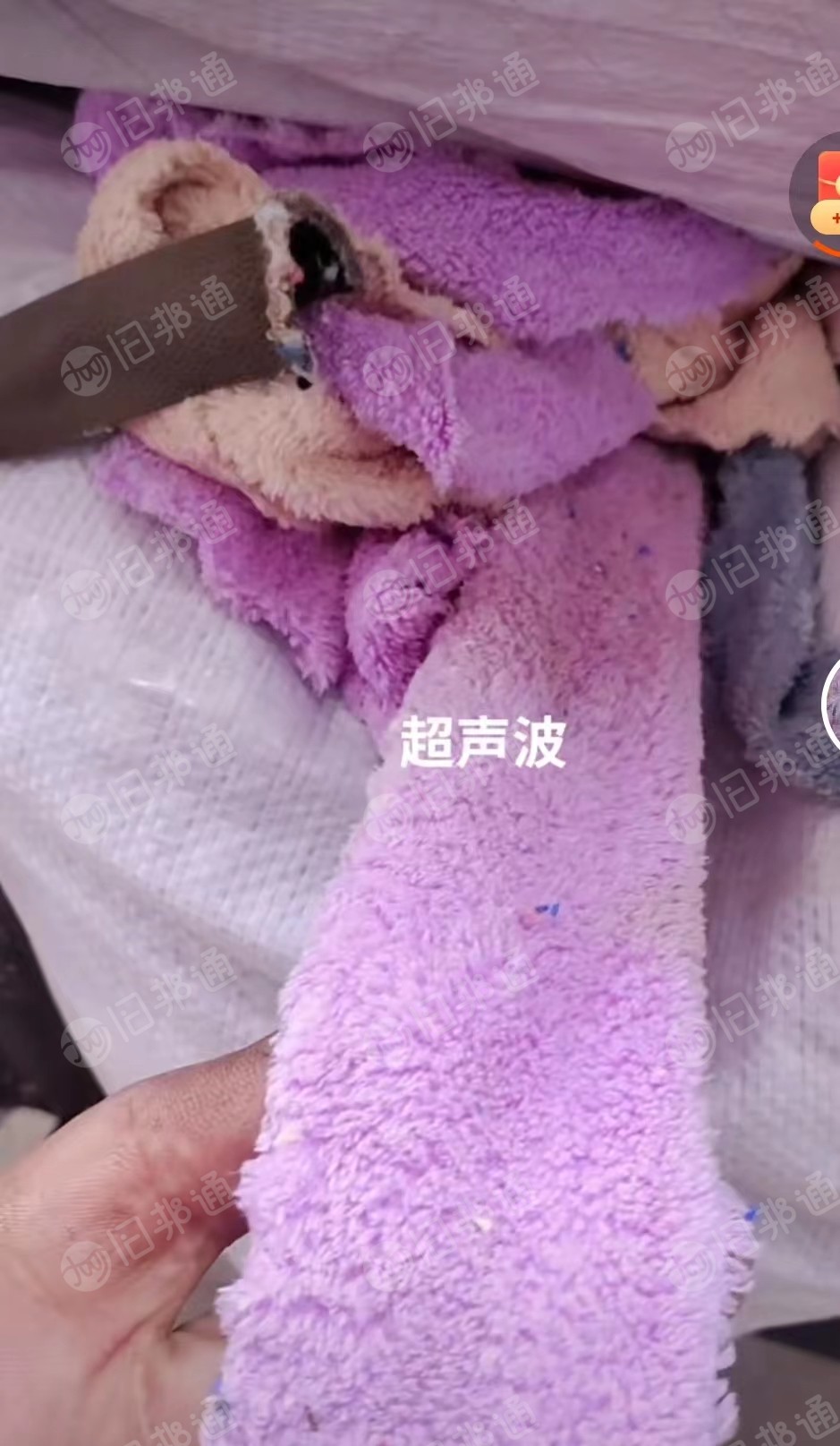 出售墩布原料,深色珊瑚绒,欢迎来电谈