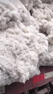 长期供应优质车肚,落地棉！