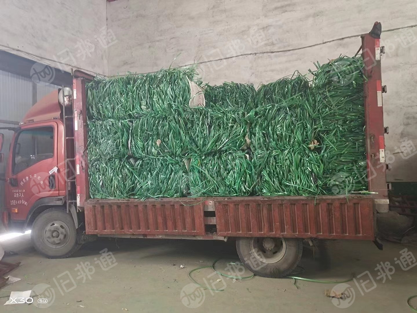 长期大量回收绿色聚酯打包带毛料,本厂主要做干粉