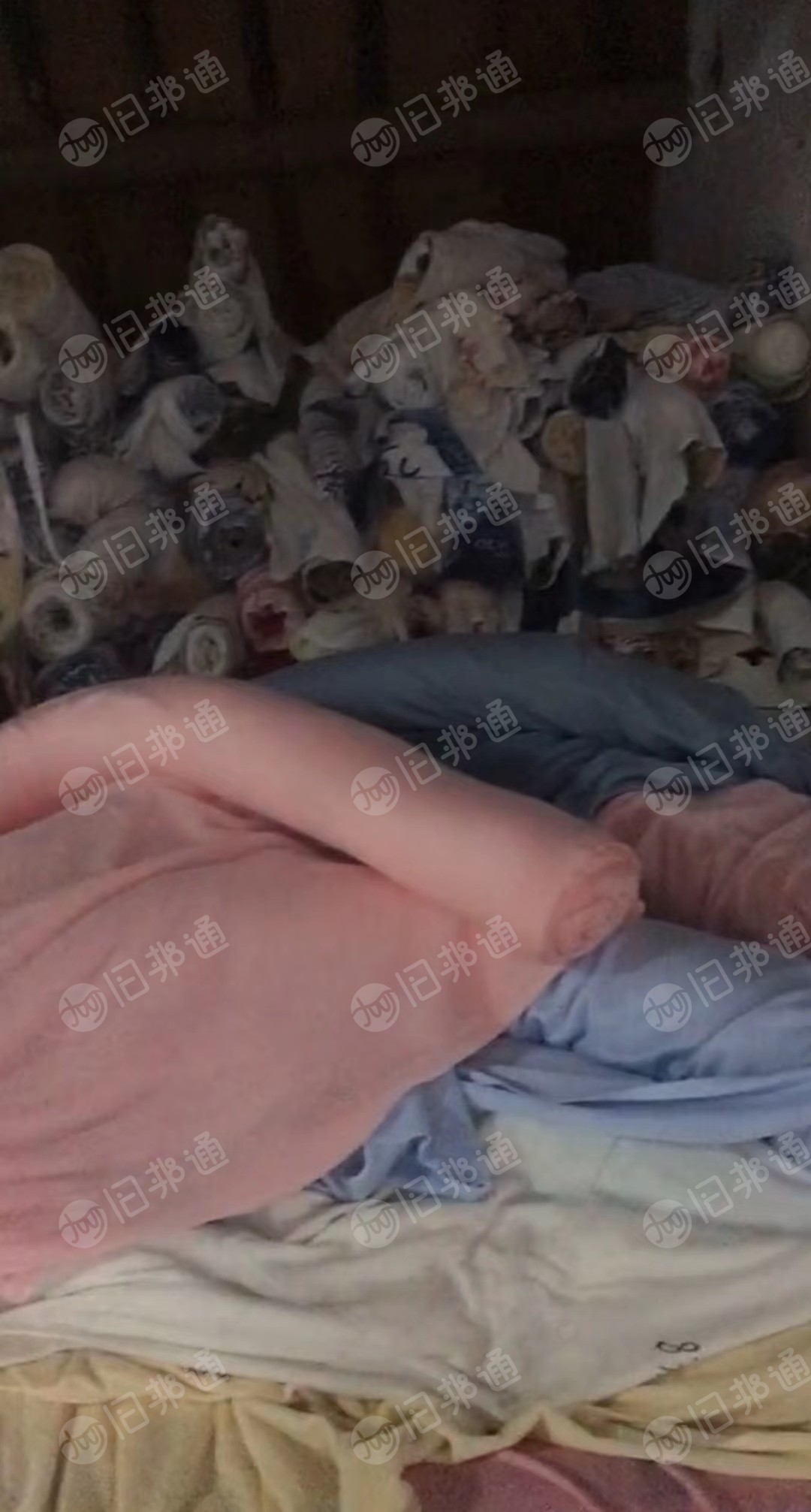 求购中小卷牛奶绒布料有货的老板请与我联系