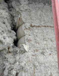 长期回收纺纱厂原料，棉花，车肚，斩刀，破籽等