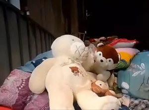 大量收购棉花丝绵被，枕头娃娃统货