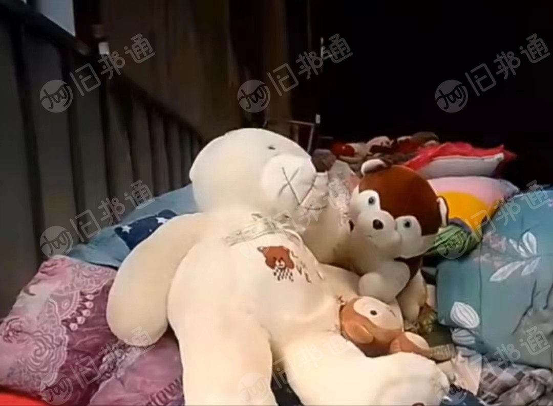大量收购棉花丝绵被,枕头娃娃统货