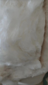 常年采购新疆棉，苏丹棉，地产棉