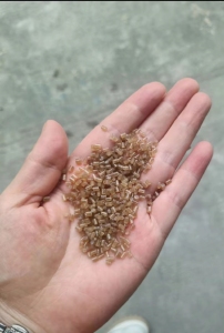 长期生产销售EPS颗粒，茶透颗粒，茶色颗粒