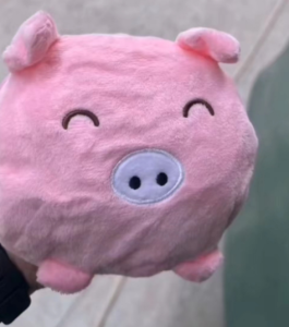 高价回收毛绒玩具，主要回收30公分以下产品！