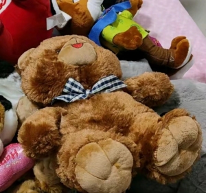 重庆主城以及周边 1000公里，区县现金大量回收毛绒娃娃