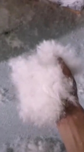 出售羽绒50.70.80.90达标羽绒，拆绒