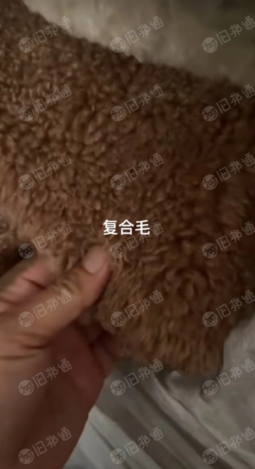 出售复合毛绒单面卷布十吨多,需要的联系!