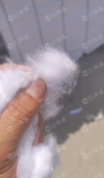 长期出售纯大化漂白精梳棉,需要的联系