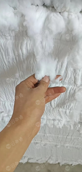 长期出售精梳棉,纺纱用棉,被子用棉!