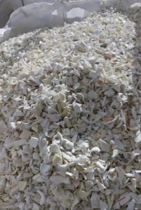 常年稳定供应PPR管破碎料，花料白料都有