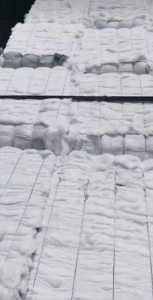 本厂常年供应精梳涤棉(含棉85的，65的，35的)可纺16-32支