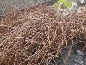 常年大量供应废钢筋压块