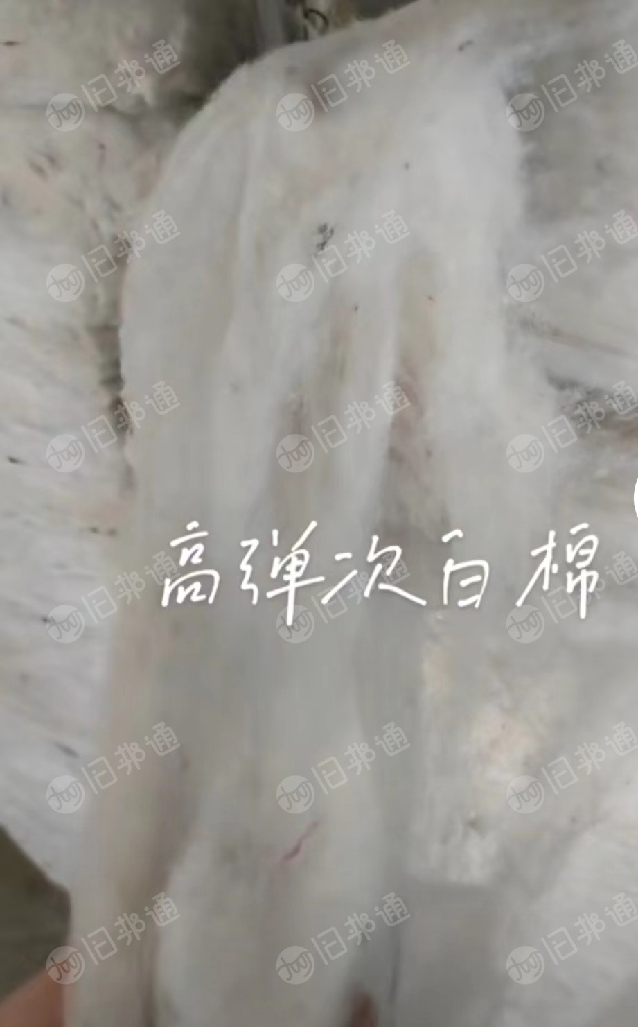 长期出售精品次白棉,高弹丝小白棉