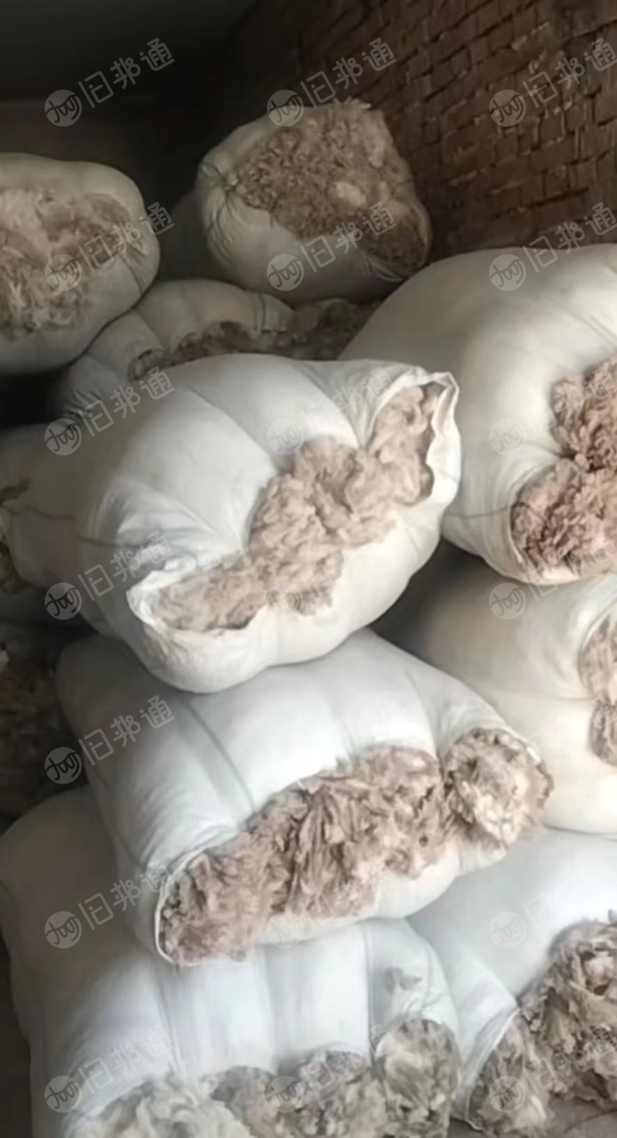 出售羊身上剪下的绵羊毛,粗毛,细毛都有,未加工的羊毛,生羊毛