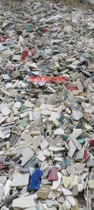 长期出售静电分选家电ABS破碎料