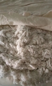 出售纯棉车肚，车肚棉