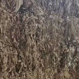 本厂常年大量收购各类口杯纸边角料,牛奶盒边料