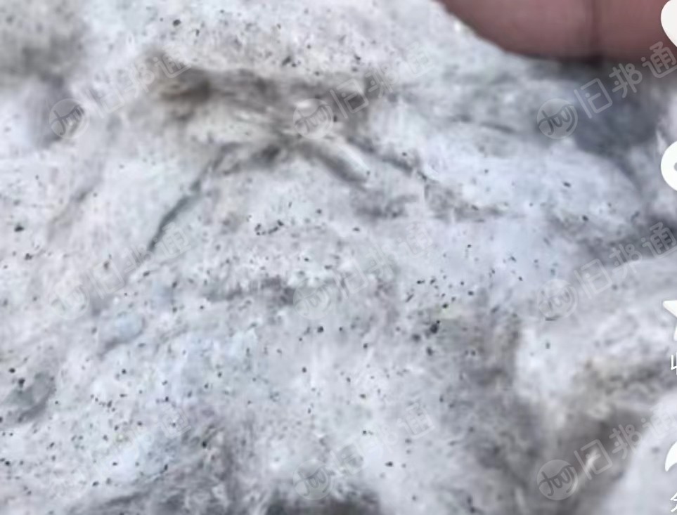 长期出售纯棉鱼籽棉,现货够车