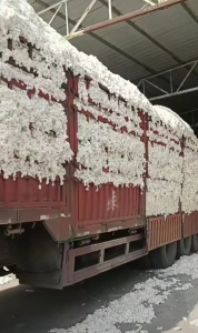 出售皮棉，絮棉，纺织棉，毛棉籽，现货上百吨