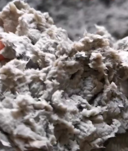 长期出售铝塑纸分离纸浆，含水量70%