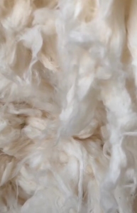 出售优质风箱花，长绒精落长度25，三丝棉，粗纱头等