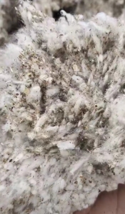 出售全棉气流纺破籽，出绒30/100左右