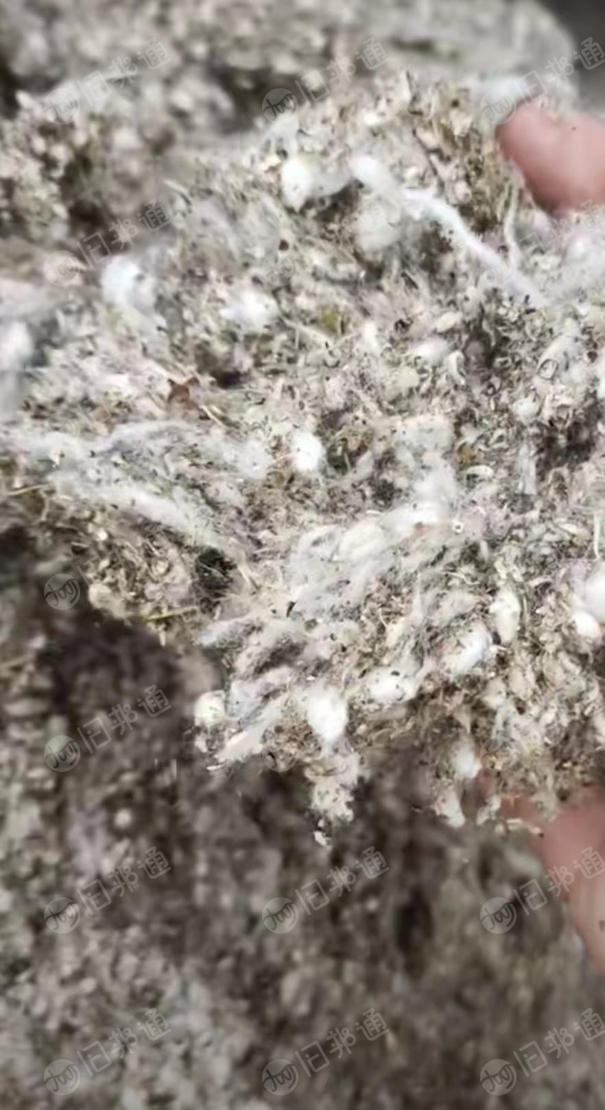 出售全棉气流纺破籽,出绒30/100左右