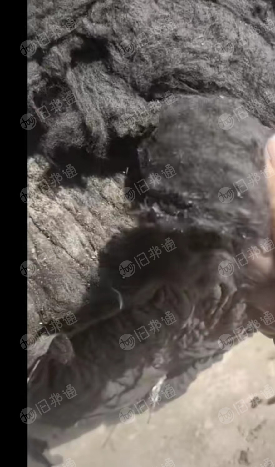 出售纯涤麻灰,黑色两种盖板,车肚,回丝,可做颗粒