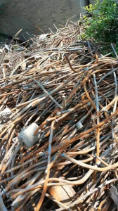 出售14号废钢筋，长度2米多